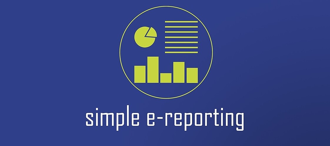 Icon - simple e-reporting