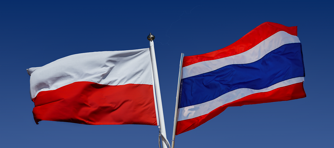 Wideo spotkanie UKE z NBTC